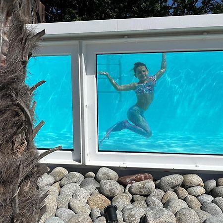 Scandinavia Resort Zator Exteriör bild